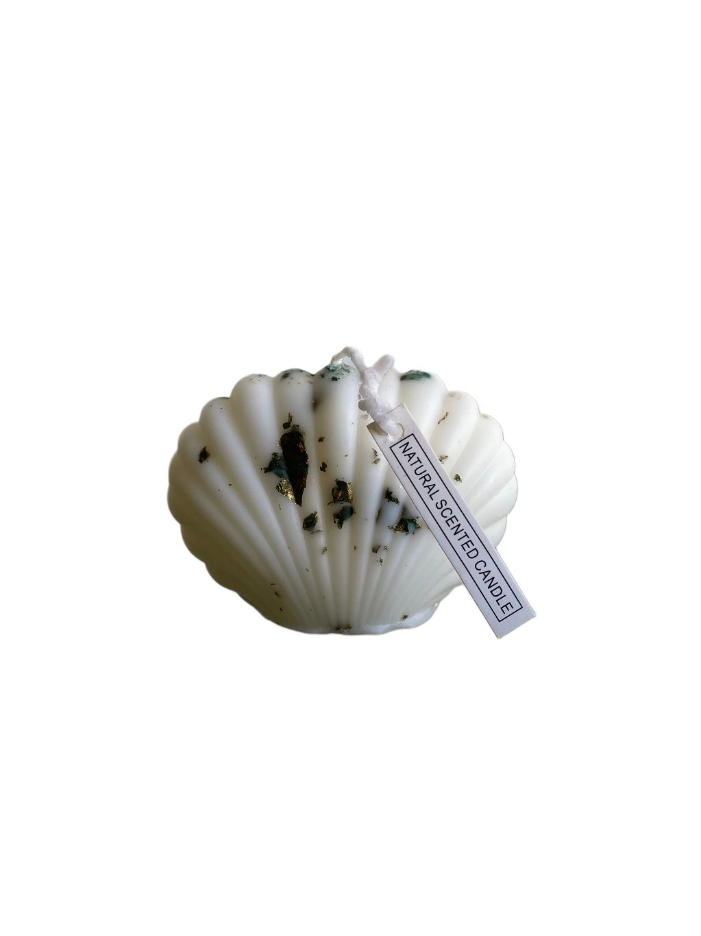 Vela Aromatica concha